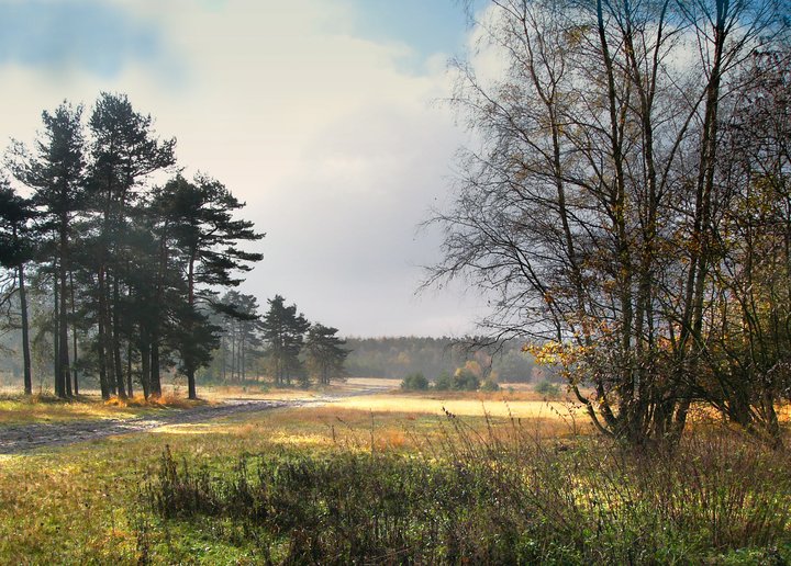 Senne02.jpg