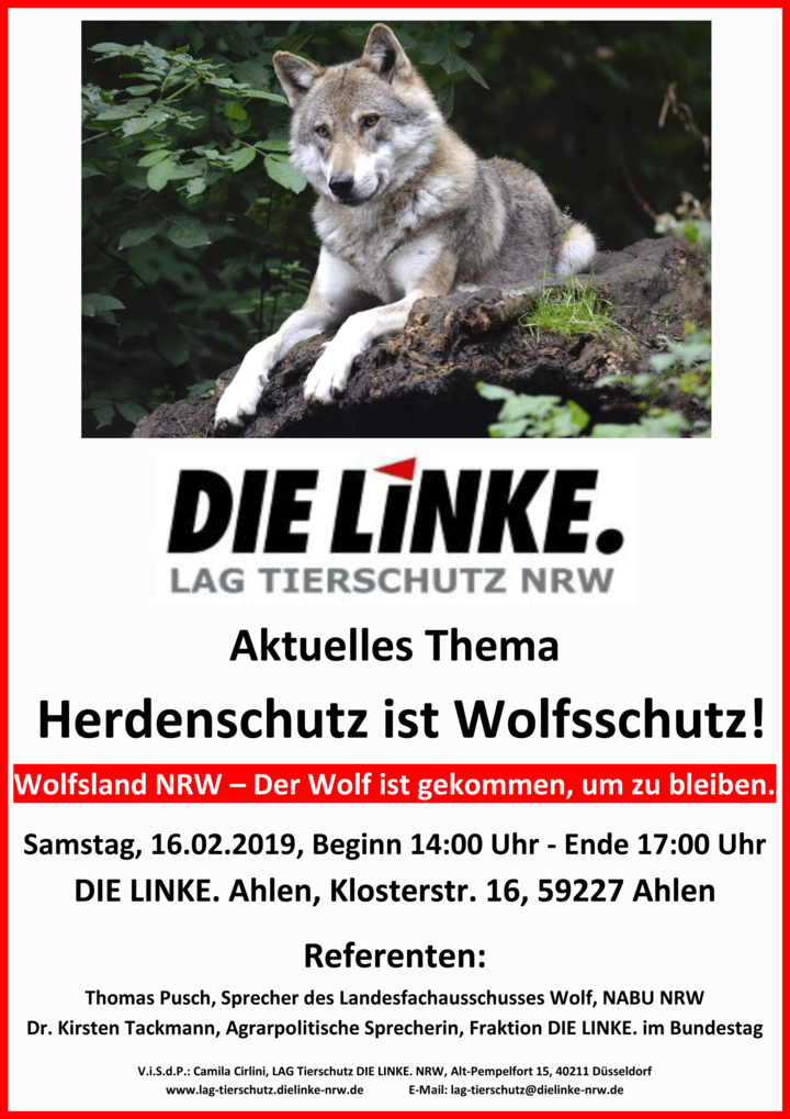 2019-02-16_Flyer_Wolf_zweiseitig-1.png