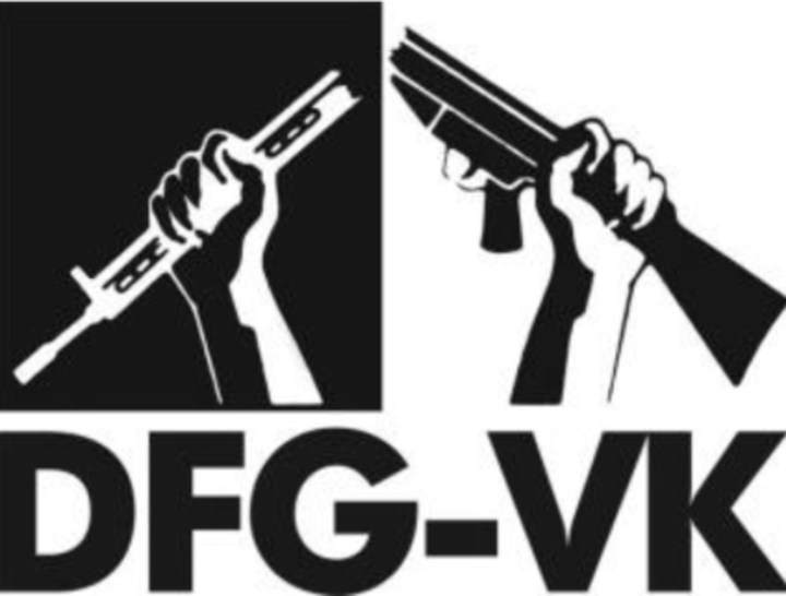 logo-dfg-vk.png